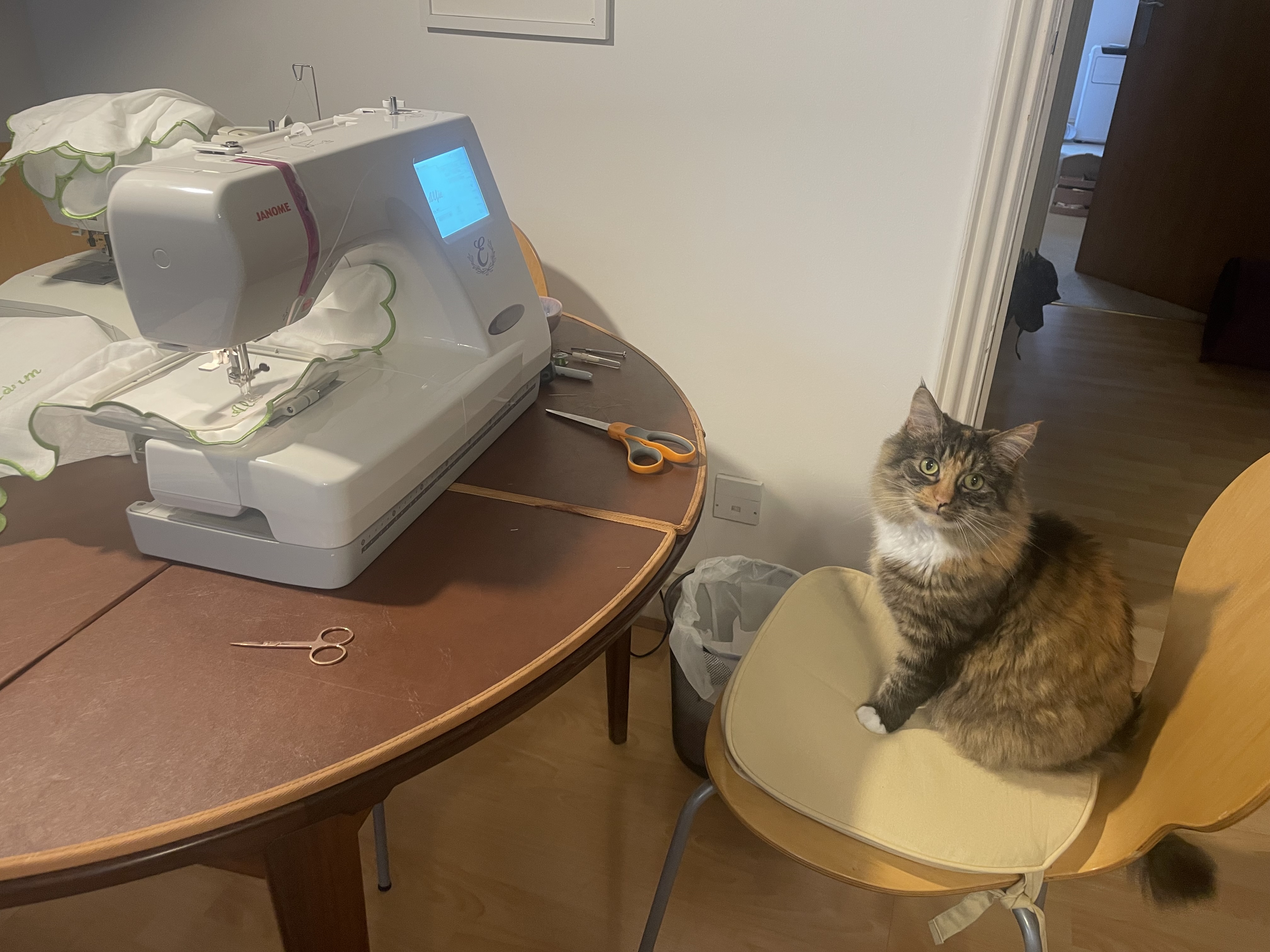 Kissa Marge istuu vuokratun kirjontakoneen vieressä, jota käytetään hääaskarteluun.